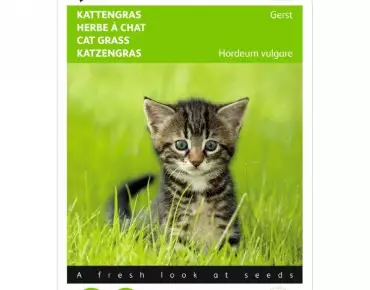 Kattengras