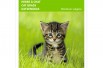 Kattengras