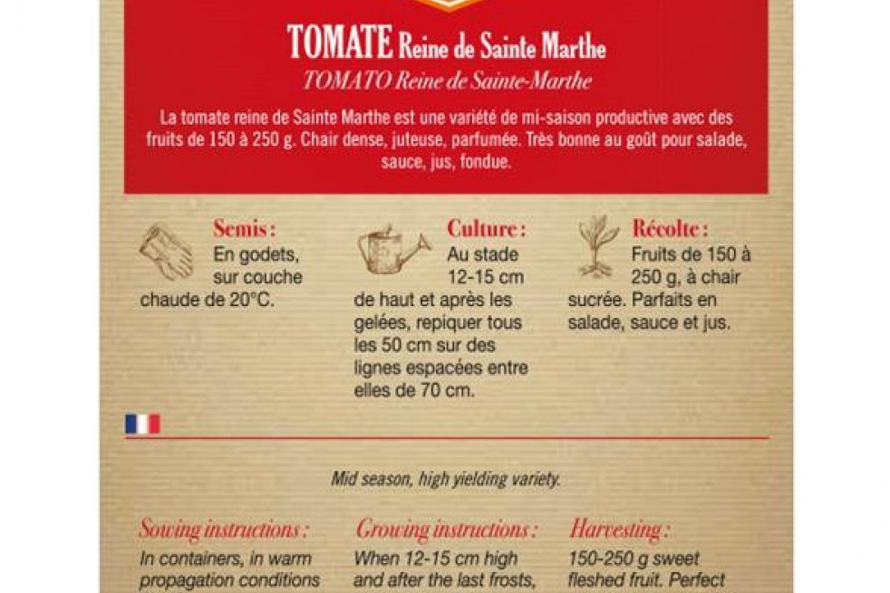 Tomate Reine de Sainte Marthe