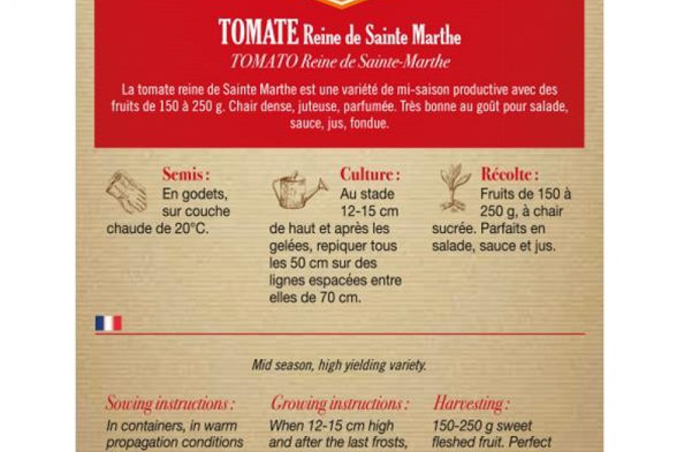 Tomato Reine de Sainte Marthe