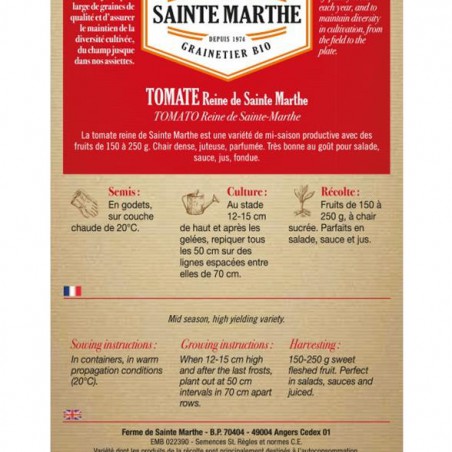 Tomate Reine de Sainte Marthe