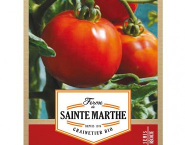 Tomate Reine de Sainte Marthe