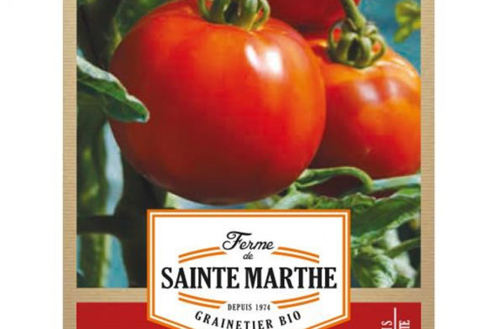 Tomate Reine de Sainte Marthe