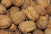 Walnut Franquette with large fruits