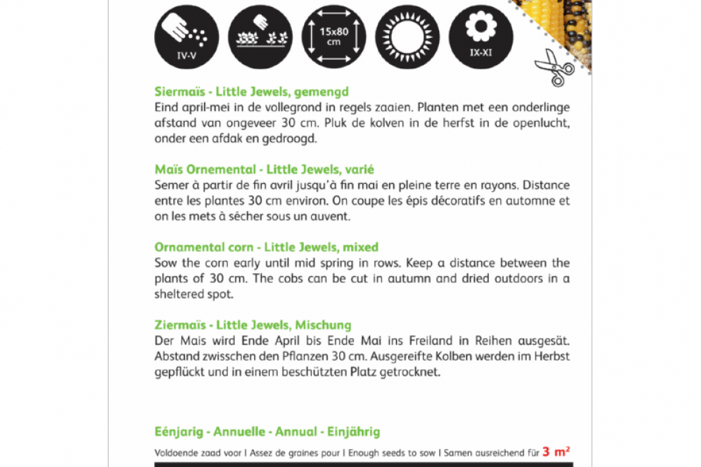 Maïs à épis multicolores Maïs à épis multicolores