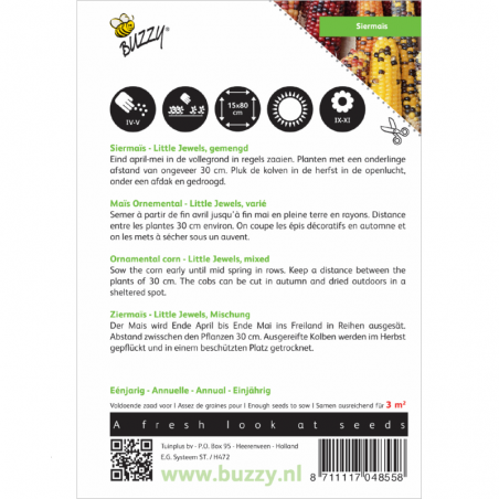 Maïs à épis multicolores