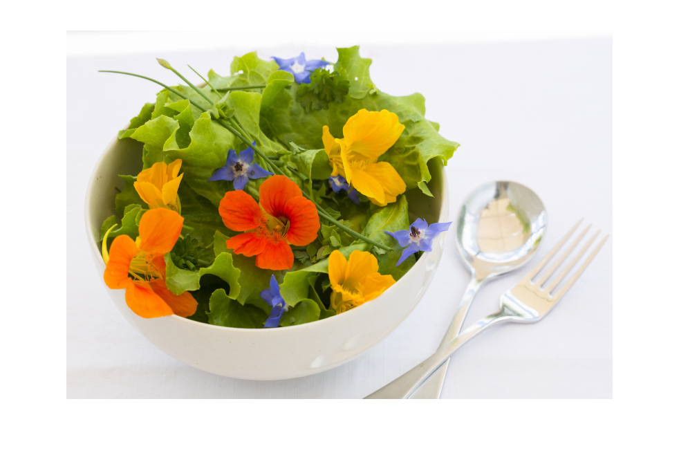 Rob's Kit de culture de fleurs comestibles Rob's Kit de culture de fleurs comestibles