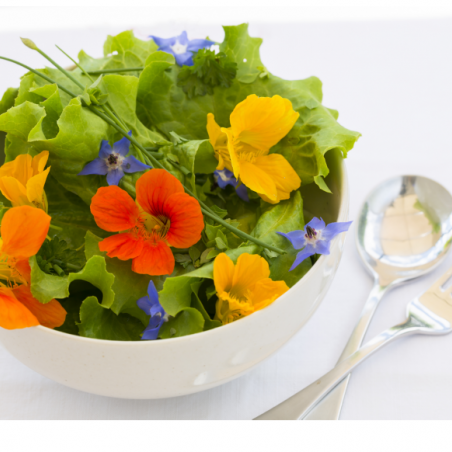 Rob's Growkit Edible flowers