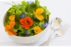 Rob's Snoeptuin Kweekset Eetbare Bloemen