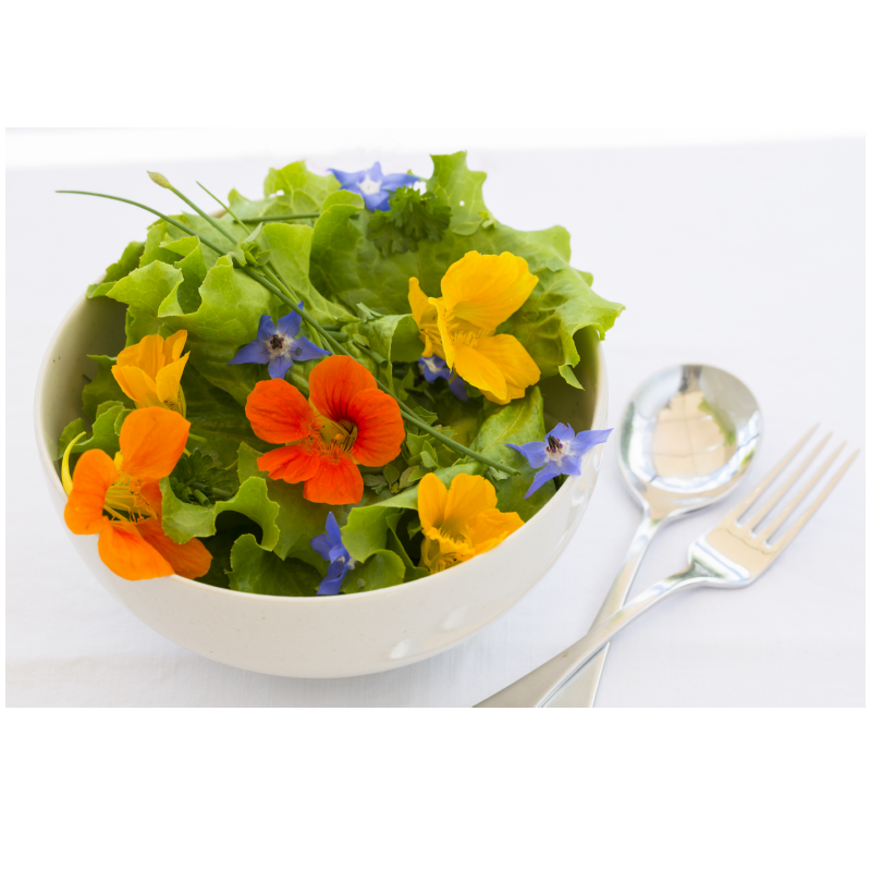 Edible flowers growing kit