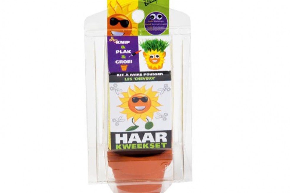 Kit à faire pousser les cheveux, tournesol-helianthus