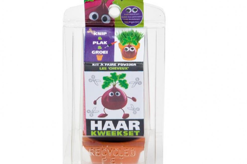 Haar Kweekset, Helianthus