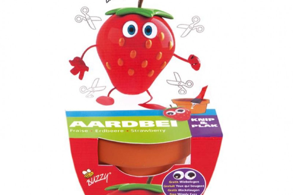 Kit de culture à décorer Kit de culture à décorer