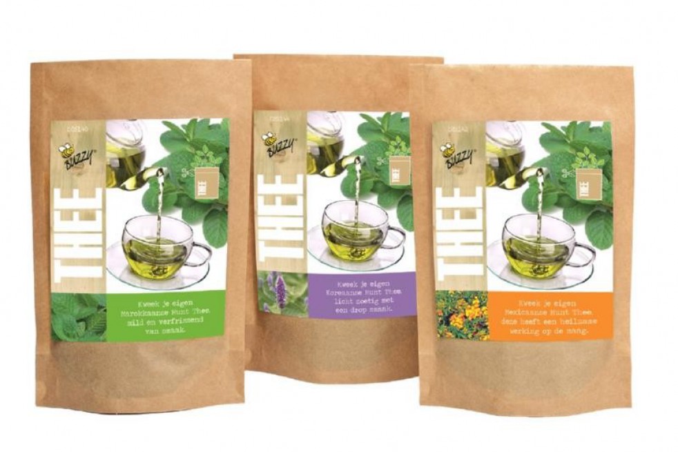 Bag of seeds of Mint for tea
