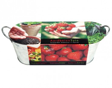 Jardinière en Zinc fraisier