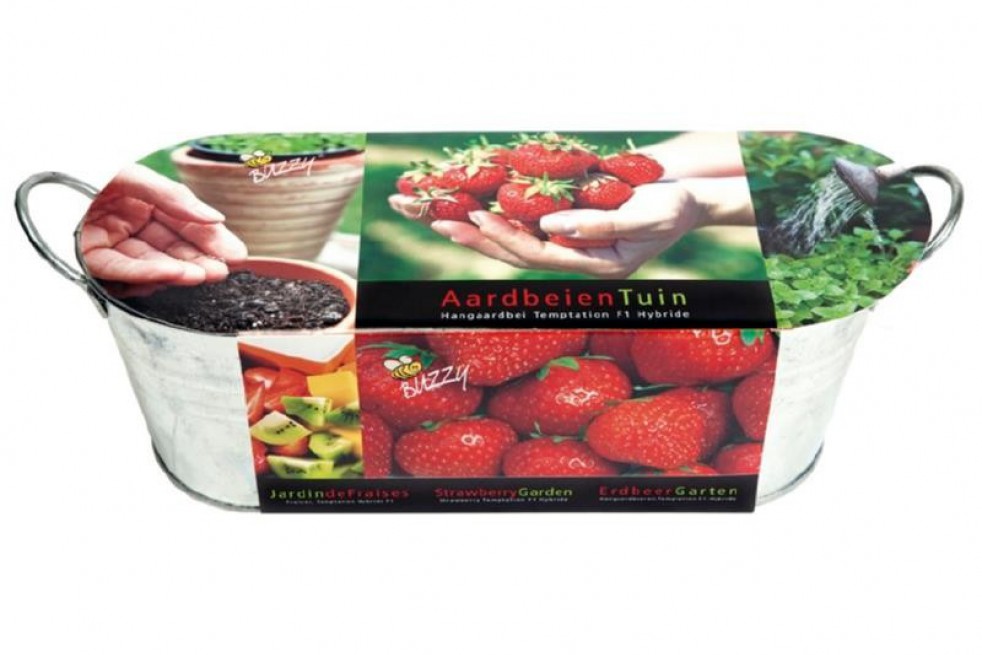 Jardinière en Zinc fraisier