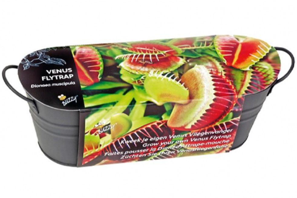 Windowsill Antraciet Venus Fly Trap