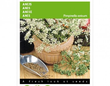 Anijs