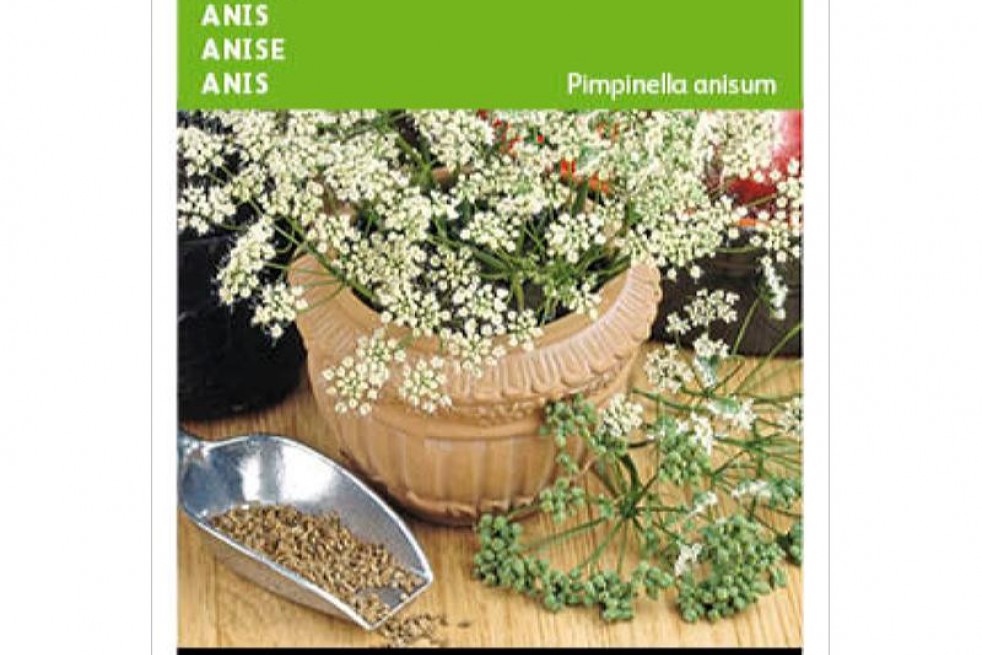 Anis Vert