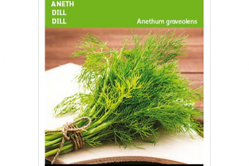 Dill