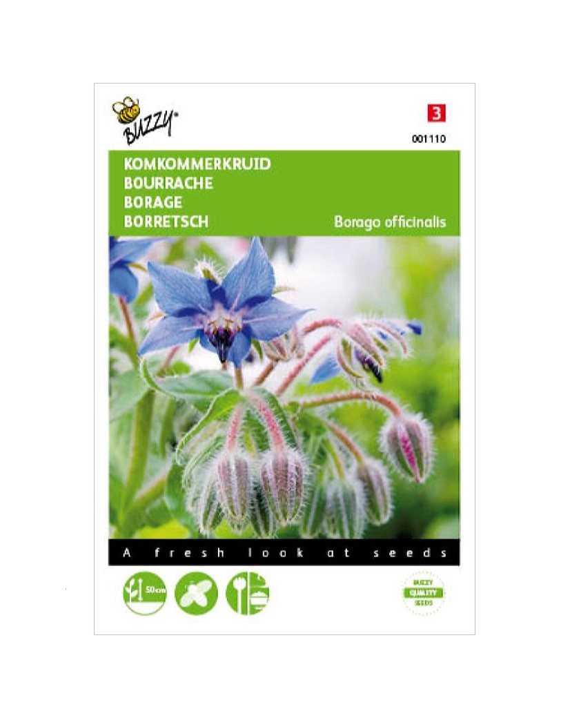 Bourrache Comestible à Semer - Graines De Borago Officinalis