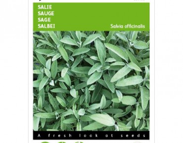 Salie