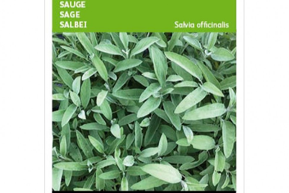 Sage