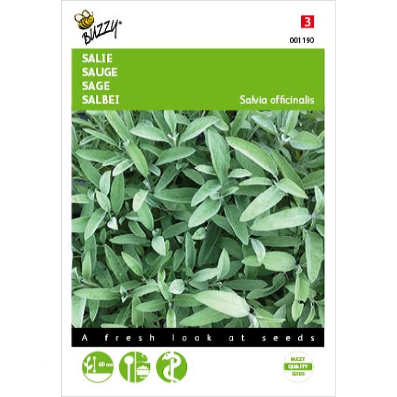 Zaden Salie - Salvia officinalis