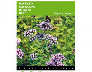 Marjolein - Oregano