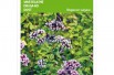 Marjolein - Oregano Marjolein - Oregano