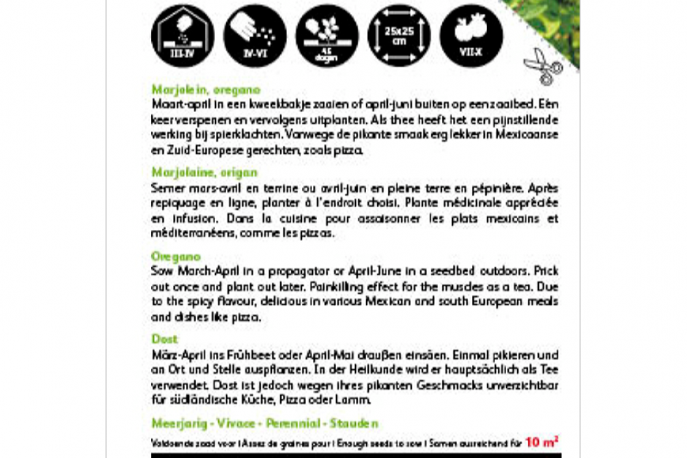 Marjolein - Oregano Marjolein - Oregano