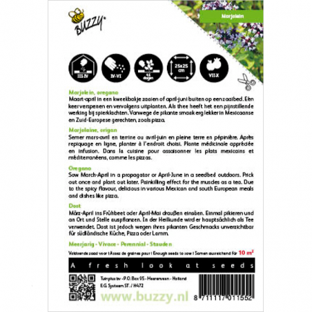 Marjolaine vivace - Origan