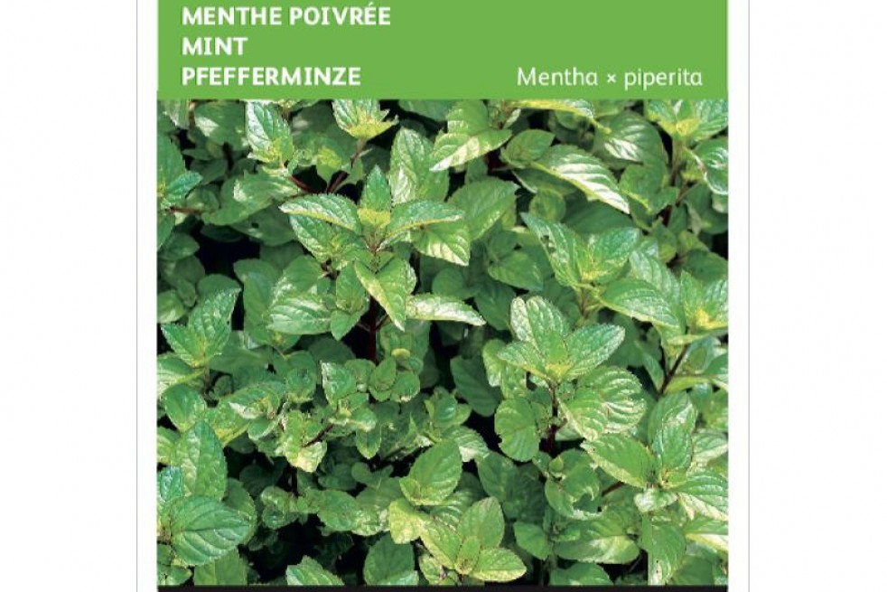 Menthe Poivrée