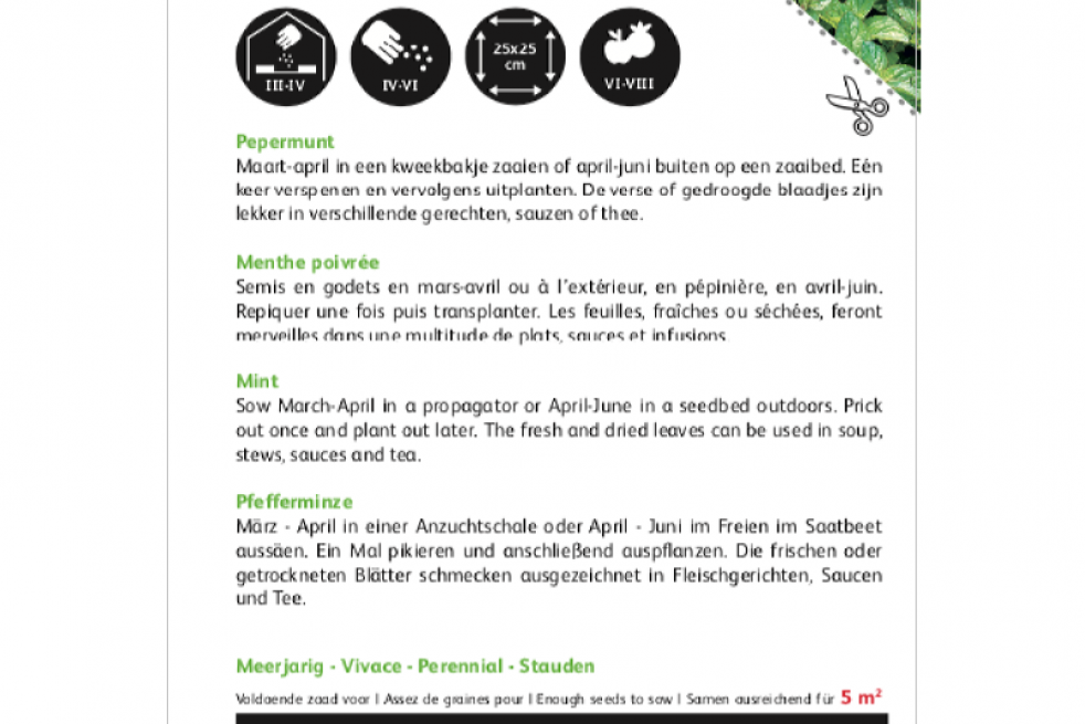 Menthe Poivrée Menthe Poivrée