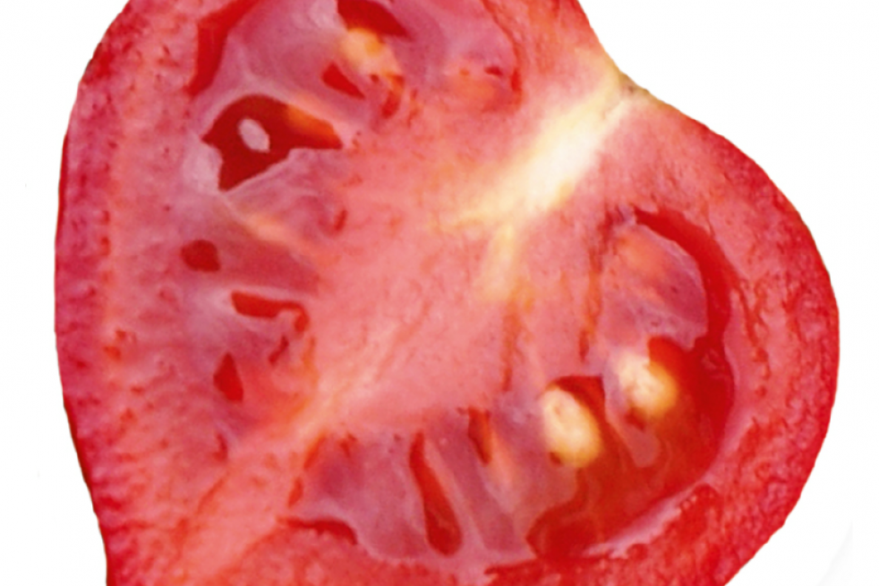 Kit de culture tomates coeur