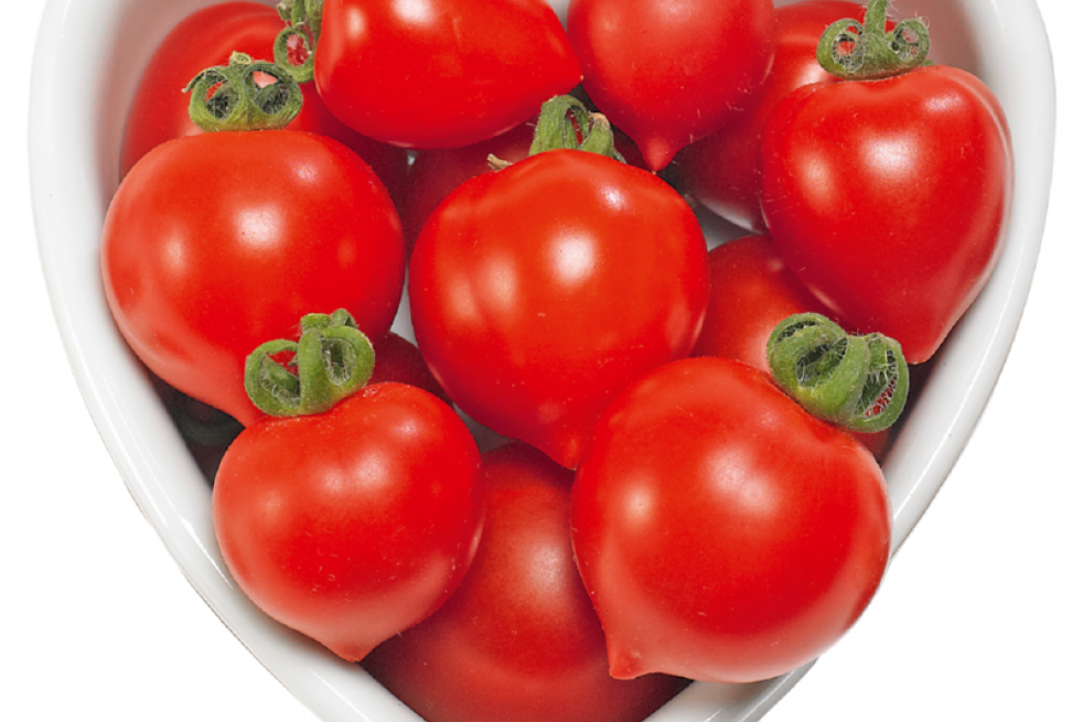 Kit de culture tomates coeur