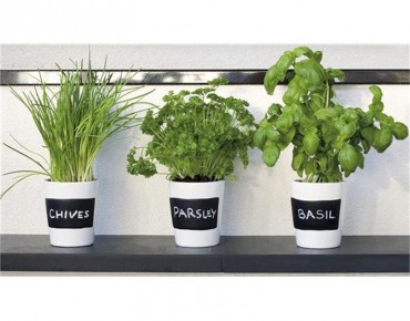 Organic herbs growing kit