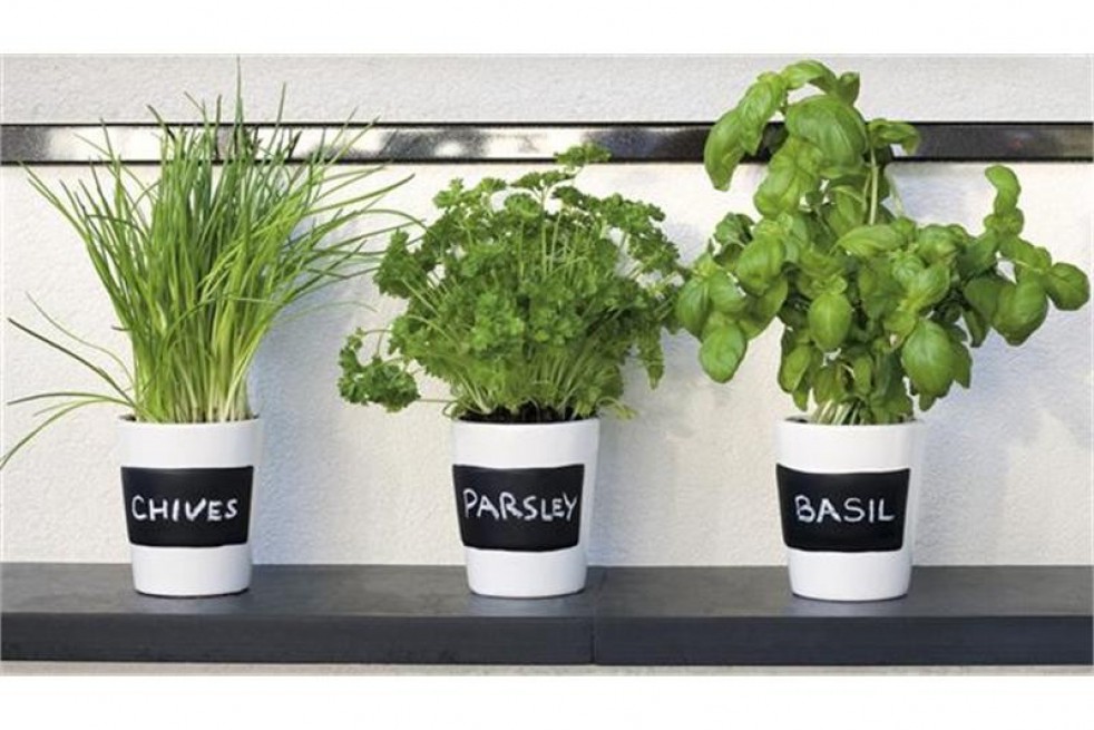 Organic herbs growing kit
