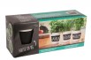 Organic herbs growing kit Organic herbs growing kit