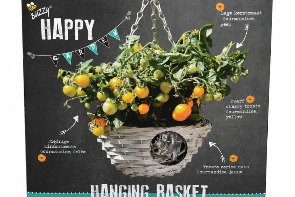 Cherry Yellow tomato hanging basket