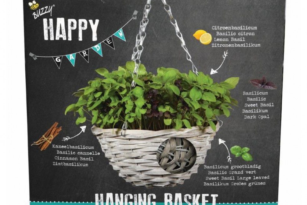 Hanging basket of basil mixed