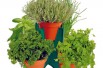 Kit de culture de cinq aromates