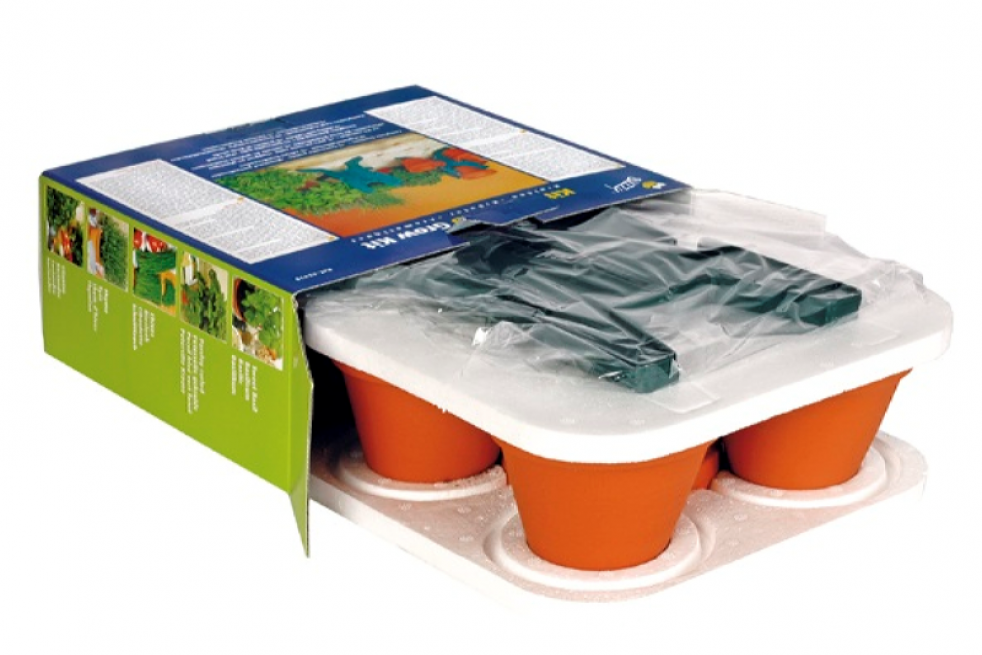 Kit de culture de cinq aromates Kit de culture de cinq aromates