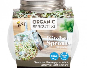Germoir pot en verre avec semences à germer pour salade