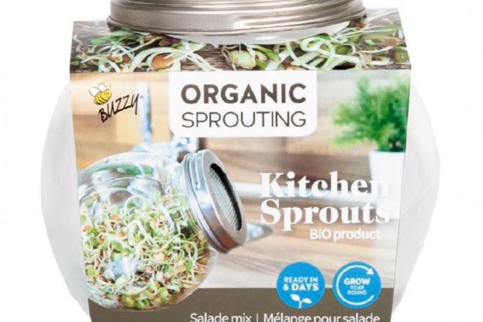Germoir pot en verre avec semences à germer pour salade