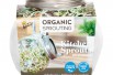Sprouting glass jar with seeds to sprout
