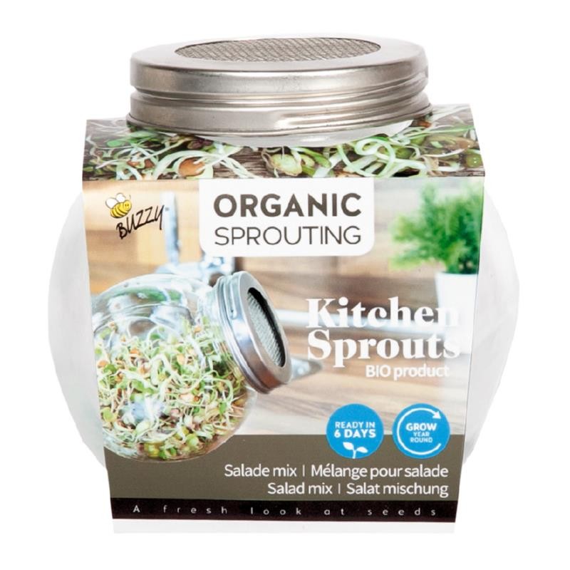 Sprouting glass jar with seeds to sprout