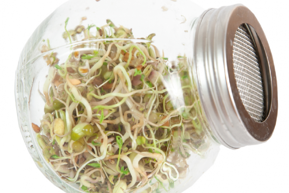 Sprouting glass jar with seeds to sprout