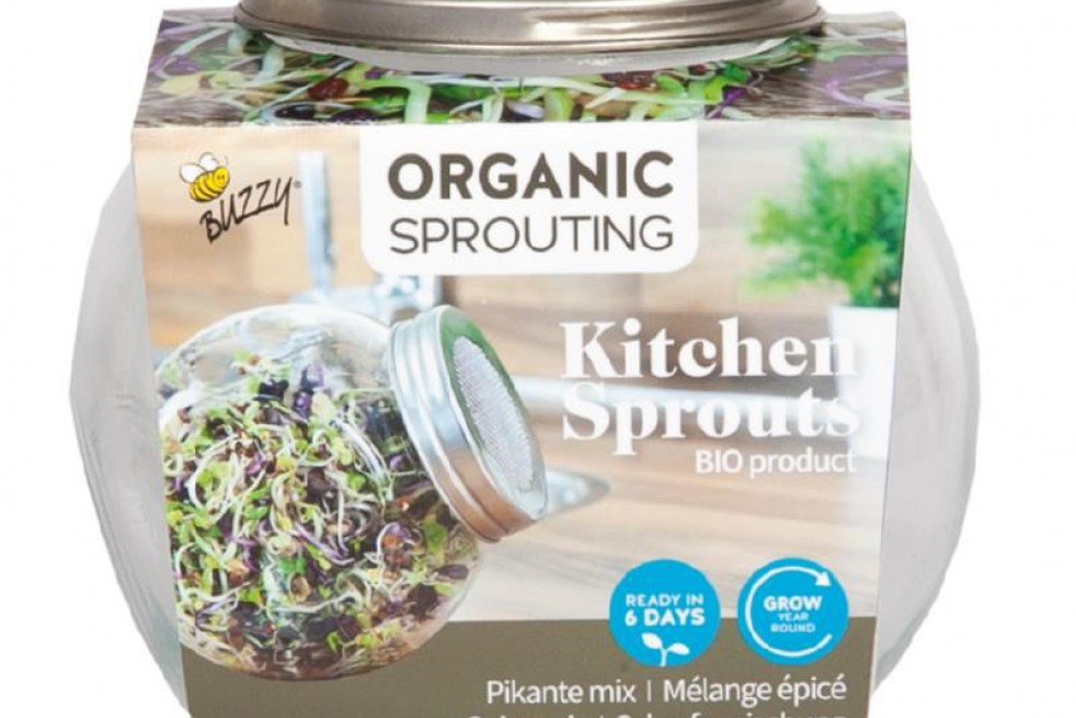 Germoir pot en verre avec semences à germer mélange épicé