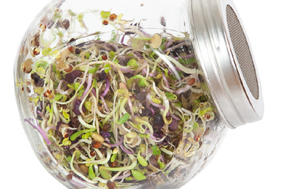 Sprouting glass jar with seeds to sprout